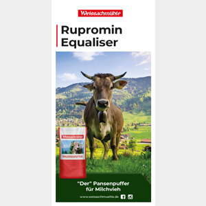 Flyer: Rupromin Equaliser