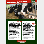 Flyer: Amaferm