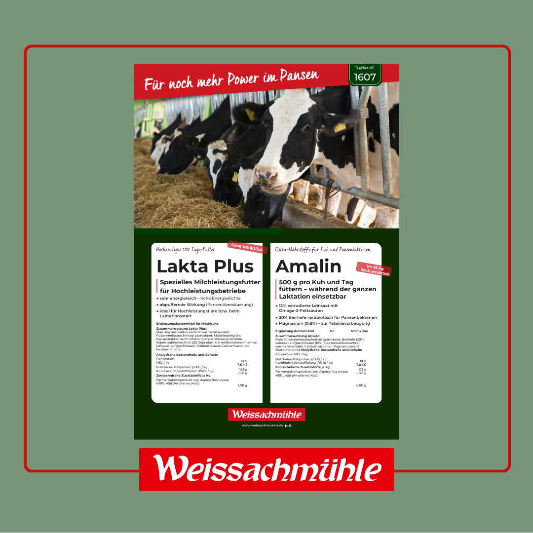 Für noch mehr Power im Pansen